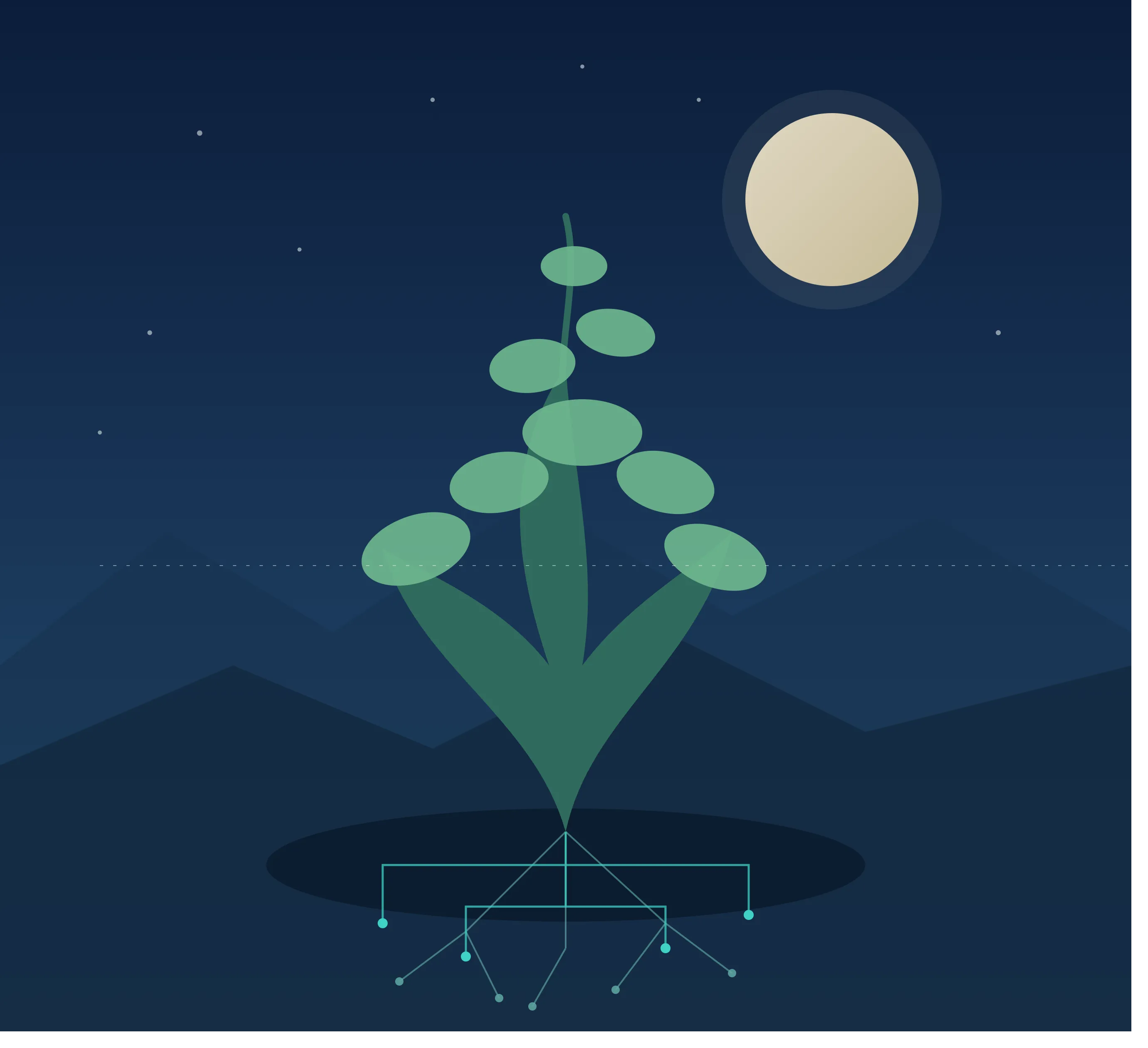 nara_bonsai_portrait